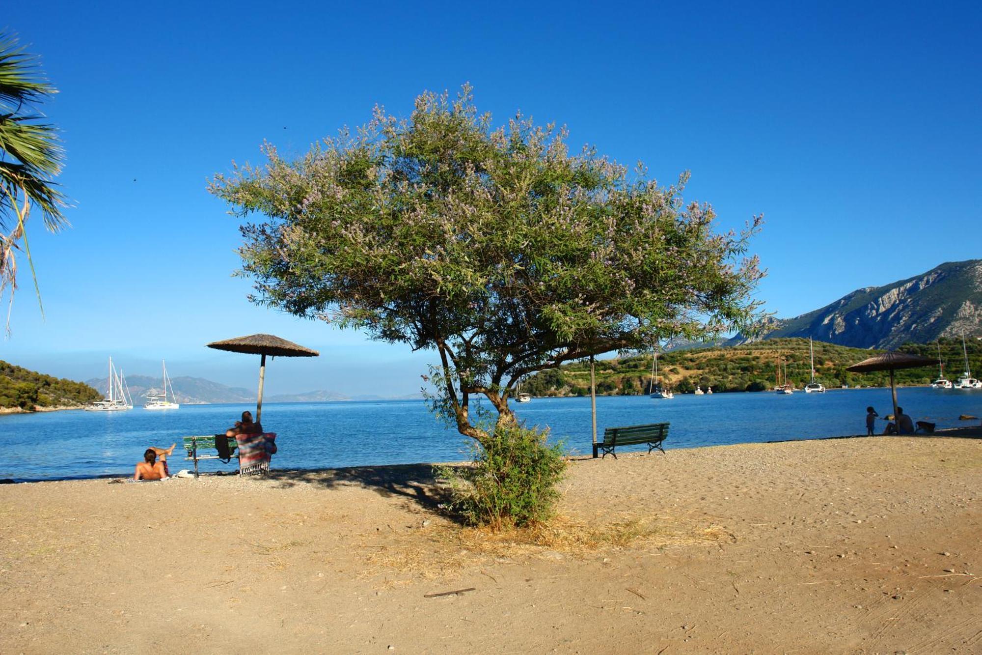 Verdelis Inn Epidaurus Exteriér fotografie